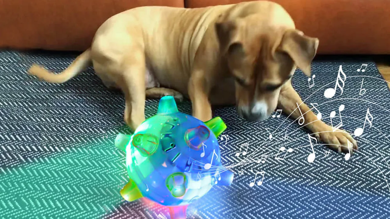 petsboro pet ball: PetsBoro Pet Ball Review 2026: Claims vs Owner Evidence PetsBoro Pet Ball Review 2026: Claims vs Owner Evidence — petsboro pet ball | GearPuff